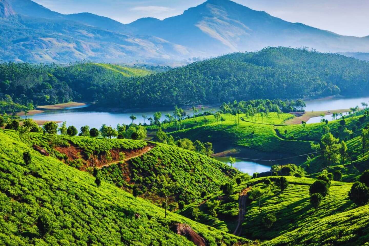 Munnar Tour